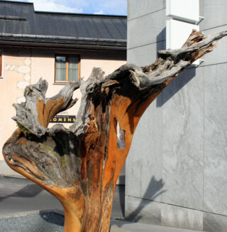 tamangur-rebekka-023