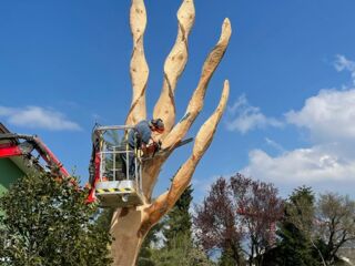 IMG_20210506_104229