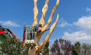 IMG_20210506_104229